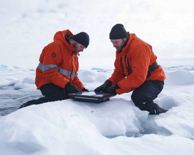 Antarktika’nın Gizli Deniz Tabanı Şehri: Bilim İnsanları Weddell Denizi’nin Altında Düzenli Balık Yuvaları Keşfetti