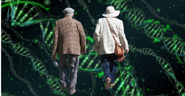 Uzun yaşamak genetik değil!