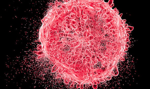 Bilim insanları gen düzenlemeyi kullanarak kanser hücrelerini birbirlerini öldürmeleri için tuzağa düşürüyorlar.