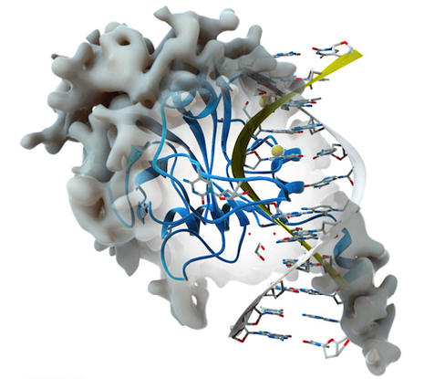 Epigenetik - Annelerimizden lncRNA'lara