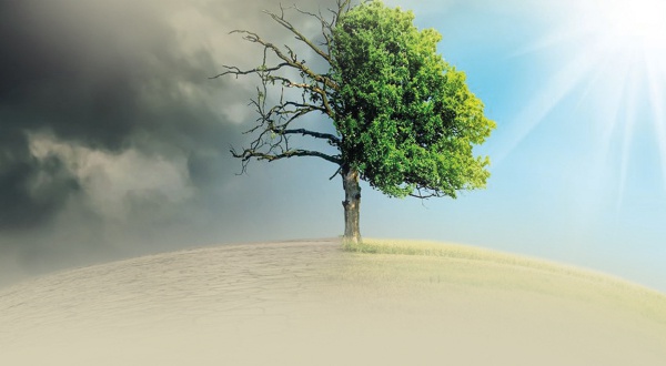 İKLİM DEĞİŞİKLİĞİ ÇOCUKLARIN SAĞLIĞI İÇİN YAŞAM BOYU RİSK OLUŞTURUYOR