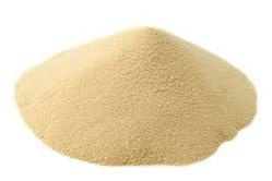 Doğal ve Güvenilir Gıda tüketiminde Biyoteknoloji