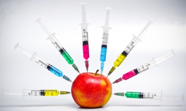 Günah Keçisi GDO'lar