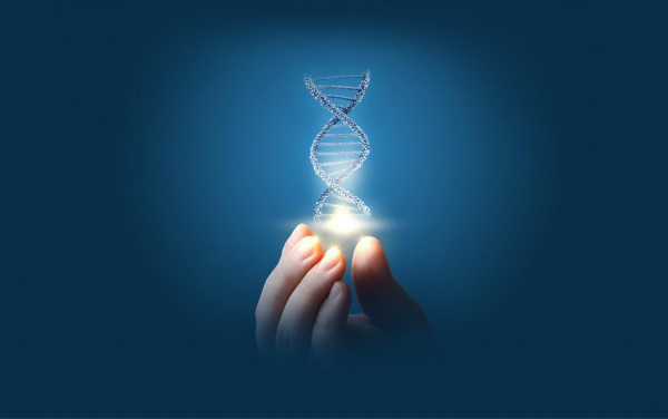 VÜCUDUNUZDA AN İTİBARİYLE 100 CİVARINDA BOZUK GEN VAR!