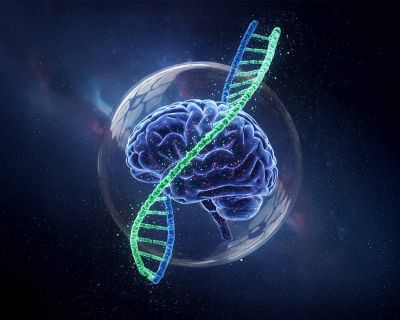 Epilepsi ve Parkinson İçin Hücre Hedefli Yeni Beyin Araçları