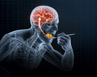 Hızlı Yemek Beynin Doygunluk Mekanizmasını Bozuyor