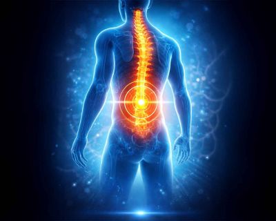 Omurilik Felcinde Umut Veren Gelişme: Brezilyalı Bilim İnsanlarından Sinir Onarımında Çığır Açan Çalışma