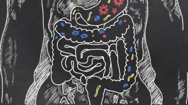 Bağırsaklarımızda ikinci bir beyne mi sahibiz?