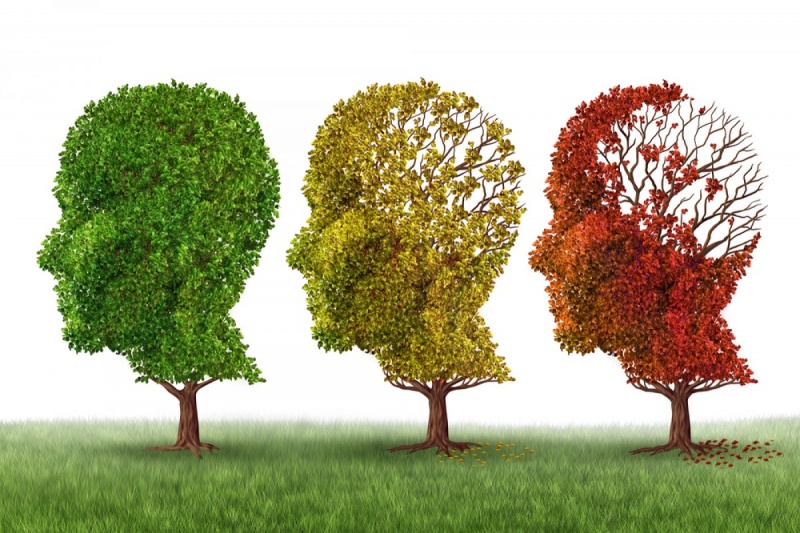 Alzheimer Hastalığı ve Balık