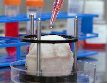 Rejeneratif Biyolojide Hücresizleştirme Çalışmaları