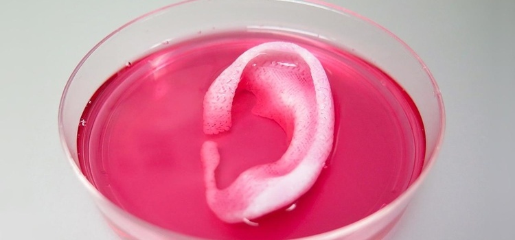 3D Yazıcı ile Vücut Parçaları Üretilebilecek