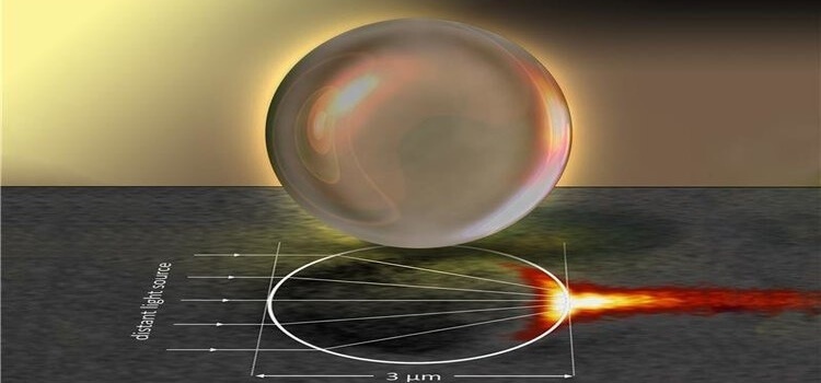 Bakteriler Dünyayı Bizim Gibi Görebiliyor