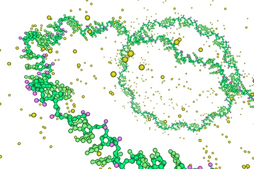 Daha iyi miRNA tespiti için olan yarış test pazarını ateşliyor.