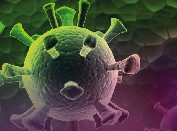 Yerli Hücresel Terapiler, Türkiye Sağlık Turizmine Yeni Boyut Kazandıracak