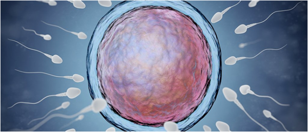 Erkeklerin doğum kontrolü için spermlerde açıp kapayabilecekleri bir on-off tuşu keşfedildi.