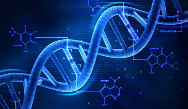 Sentetik Genomik için Gelecek Yol Haritaları