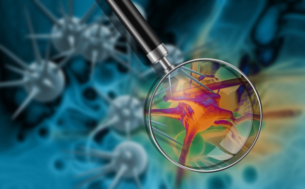 Kansere Asker Hücrelerle Çare Bulunacak