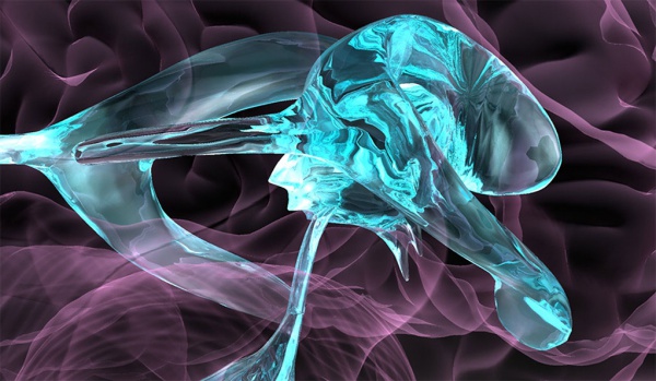 Kök hücre mutasyonlarıyla Hidrosefali arasında bağlantı kuruldu