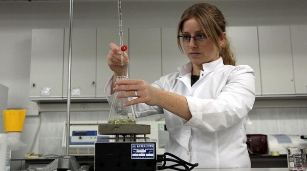 Uludağ Üniversitesi'nin araştırmalarına göre 'mısır şurubu obeziteyi tetiklemiyor'