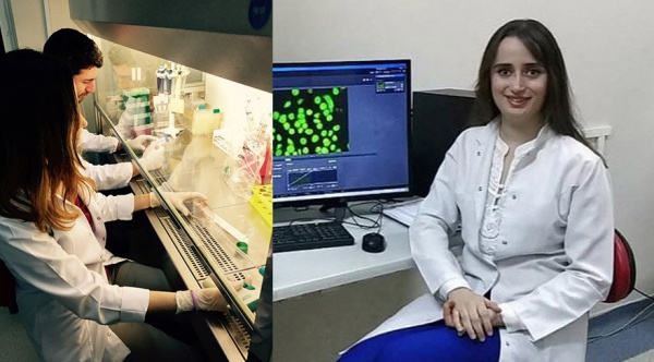 Örümcek ağı özütünün prostat kanseri hücrelerinde seçici antikanser etkisi