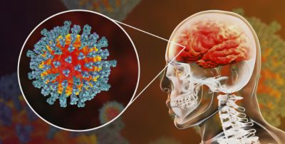 Covid-19 hafif seyretse bile beyni küçültüyor