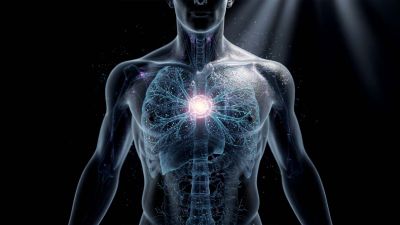 Tıp Dünyasını Şaşırtan Anatomi Keşfi: İnsan Vücudunda Yüzyıllardır Gözden Kaçan Gizli Bir Ağ Bulundu