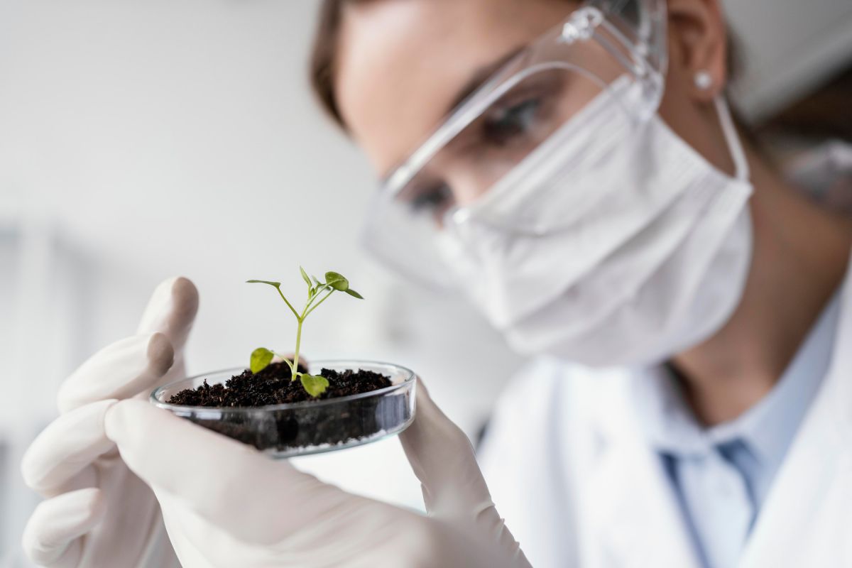 Bitki Biliminin Karşı Karşıya Olduğu 100 Önemli Soru