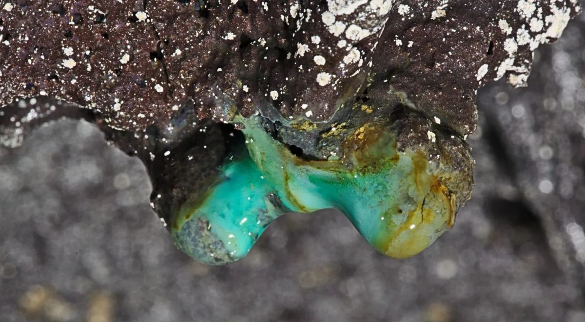microbial-colonies-hawaiian-cave-1536x845