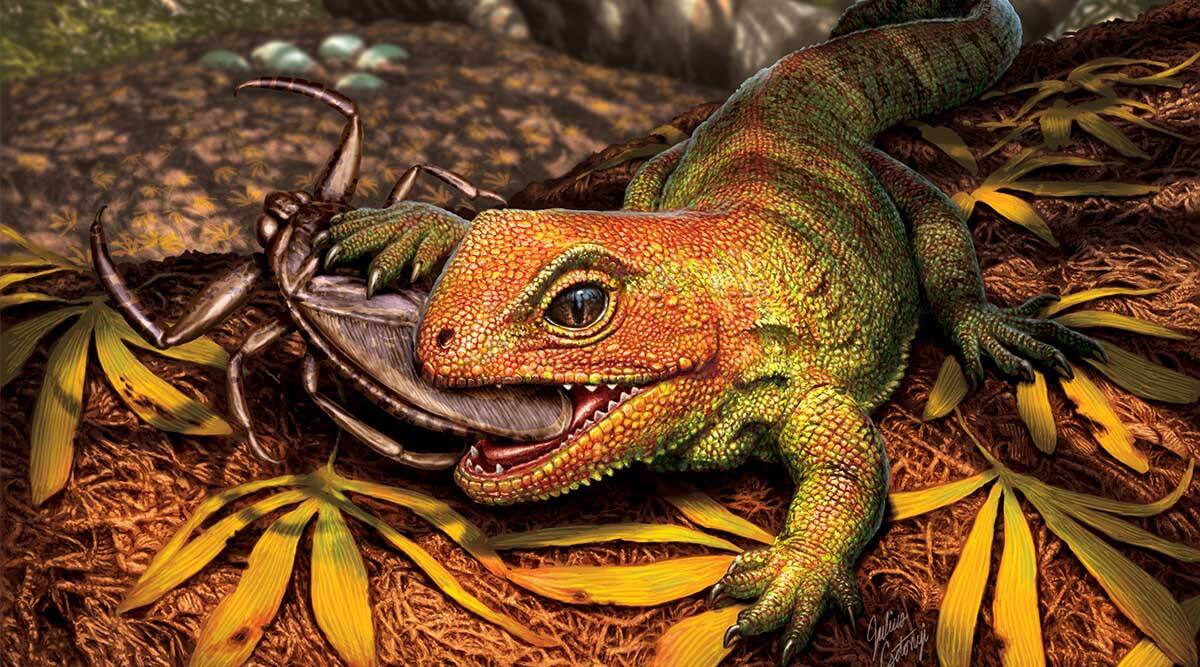 Dinozorlarla yaşamış sürüngenin kalıntıları bulundu