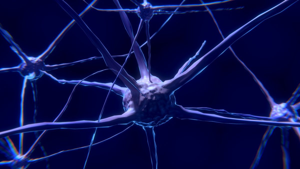 Nörolojik Hastalıklara Yeni Beyin Hücresi Tedavisi