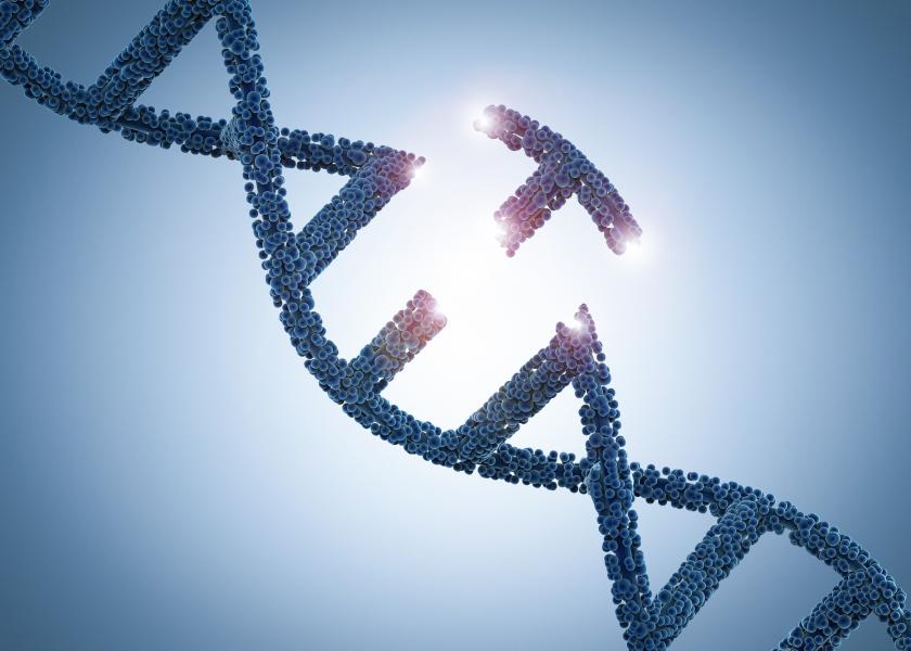 Gen Teknolojisine Işık Tutan Yeni Biyosensörler