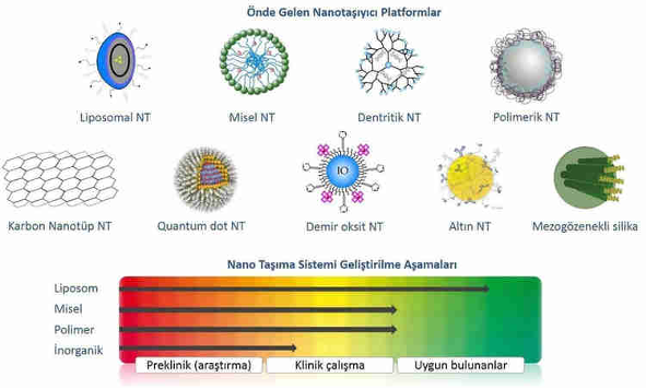 biomedya_hedefli-terapilerde-nanotas-iyici-sistemler