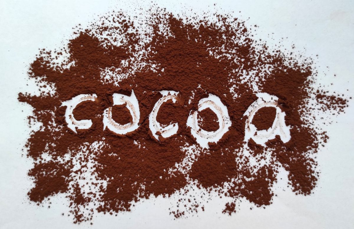 Yeşil Çay ve Kakao Diyeti Nöromüsküler Değişikliklere Karşı Olabilir