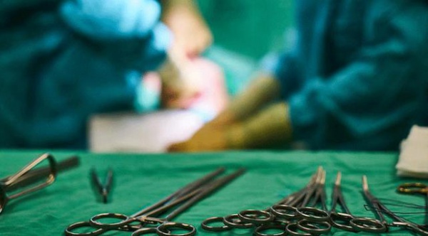 Organ naklinin profesyonelleri Türkiye'de buluşacak