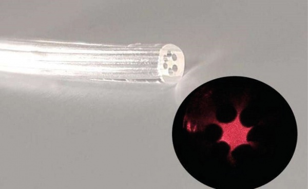 Deniz yosunlarından yapılmış fiber optik 