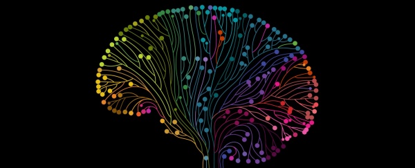 Beyin Felcinde Sinir Transferi Tekniği