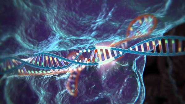 Genom düzenleme servisleri CRISPR-Cas9 ‘un gücünü tanımladı.