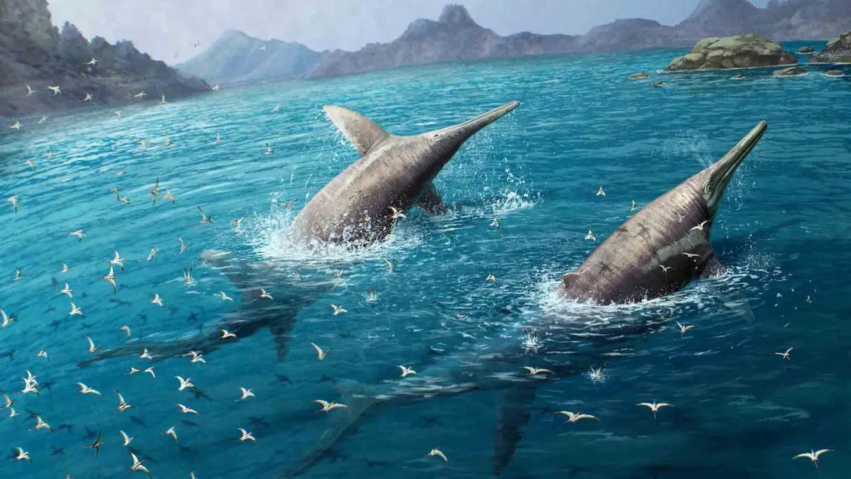 biomedya_swimming-ichthyosaur