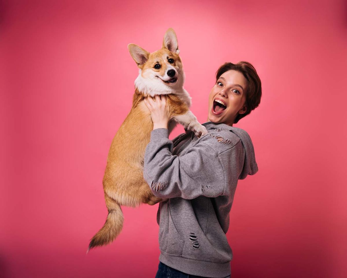 Köpeğiniz Sizi Görünce Neden Çok Heyecanlanıyor?